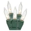 LiteSource Christmas Light String Set (02496)