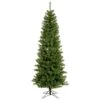 Vickerman Pre-Lit Artificial Christmas Tree (18324) -Philips Xmas Sales 18324alg