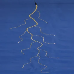 Vickerman Christmas Light String Set (20369)