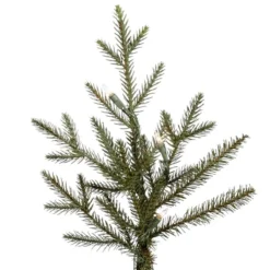 Vickerman Pre-Lit Artificial Christmas Tree (includes Step On/Off Foot Switch) (21554) -Philips Xmas Sales 21554Miscmd