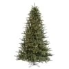 Vickerman Pre-Lit Artificial Christmas Tree (21719) -Philips Xmas Sales 21719lg