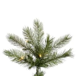 Vickerman Pre-Lit Artificial Christmas Tree (21789) -Philips Xmas Sales 21789Miscmd