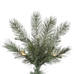 Vickerman Pre-Lit Artificial Christmas Tree (21899) 7 Vickerman Pre-Lit Artificial Christmas Tree (21899) -Philips Xmas Sales 21899Miscmd