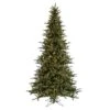Vickerman Pre-Lit Artificial Christmas Tree (includes Step On/Off Foot Switch) (22014)