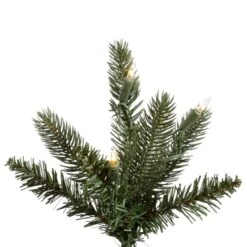 Vickerman Pre-Lit Artificial Christmas Tree (includes Step On/Off Foot Switch) (22025) -Philips Xmas Sales 22025Miscmd