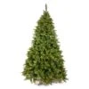 Vickerman Pre-Lit Artificial Christmas Tree (22081) -Philips Xmas Sales 22081lg
