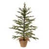 Vickerman Pre-Lit Artificial Christmas Tree (22261) -Philips Xmas Sales 22261lg