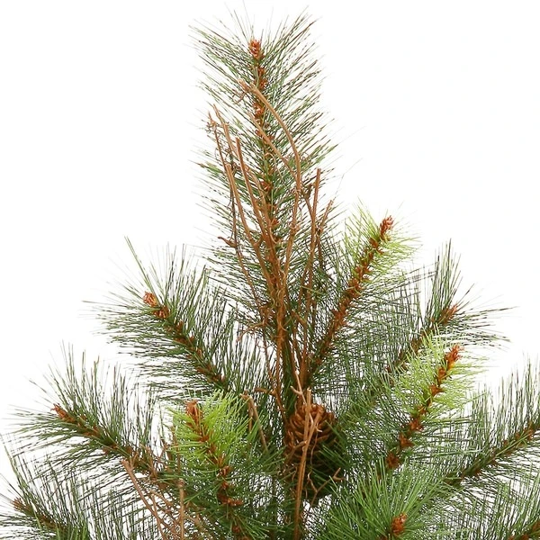 Vickerman Pre-Lit Artificial Christmas Tree With Pine Cones (22349) 5 Vickerman Pre-Lit Artificial Christmas Tree With Pine Cones (22349) - Image 3