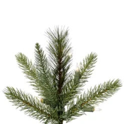 Vickerman Pre-Lit Artificial Christmas Tree (23186) -Philips Xmas Sales 23186Miscmd