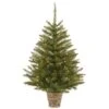 Vickerman Pre-Lit Artificial Christmas Tree (29590)