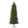 Vickerman Pre-Lit Artificial Christmas Tree (Includes On / Off Foot Switch) (32830) -Philips Xmas Sales 32830lg