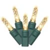 Vickerman Christmas Light String Set (365854) -Philips Xmas Sales 365845alg