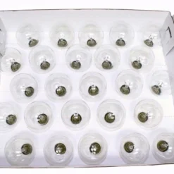 Sival Christmas Light String Set (40252) 8 Sival Christmas Light String Set (40252) -Philips Xmas Sales 40252Stringmd