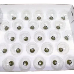 Sival Christmas Light String Set (40254) -Philips Xmas Sales 40254Stringmd