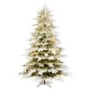 Vickerman Prelit Artificial Christmas Tree (563991) 2 Vickerman Prelit Artificial Christmas Tree (563991) -Philips Xmas Sales 563946lg 1