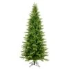 Vickerman Unlit Artificial Christmas Tree (573822) -Philips Xmas Sales 573822lg 1