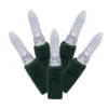 Vickerman LED Christmas Light String Set (646755) 1 Vickerman LED Christmas Light String Set (646755) -Philips Xmas Sales 646755lg