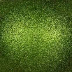 Vickerman Christmas Ornament (661055) 7 Vickerman Christmas Ornament (661055) -Philips Xmas Sales 661055texmd