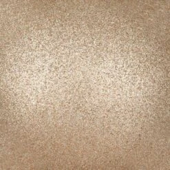 Vickerman Christmas Ornament (12 Pack) (662359) -Philips Xmas Sales 6623593md