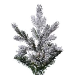 Vickerman Prelit Artificial Christmas Tree (681756) -Philips Xmas Sales 681787branchmd 4