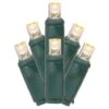 Vickerman LED Christmas Light Set (687154) -Philips Xmas Sales 687154lg