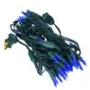 Vickerman LED Christmas Light Set (687765) -Philips Xmas Sales 687765lg