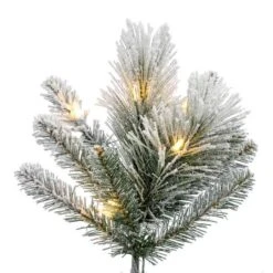 Vickerman Pre-Lit Artificial Christmas Tree (719206) -Philips Xmas Sales 719329branchmd