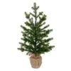 Vickerman Artificial Unlit Christmas Tree (744048) -Philips Xmas Sales 744048lg
