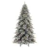 Vickerman Pre-Lit Artificial Christmas Tree (718919) -Philips Xmas Sales 748971lg
