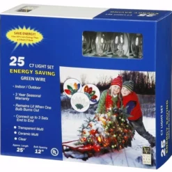 Vickerman Christmas Light String Set (209622) -Philips Xmas Sales 76101Boxedmd